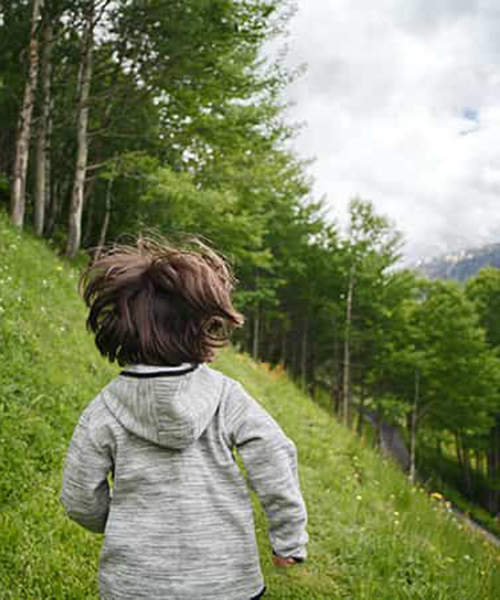 Actividades familiares: bosque, parques y aventuras